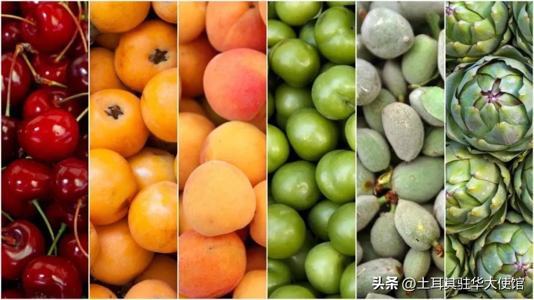 土耳其吃什么水果好,随季节变化而多吃应季食品