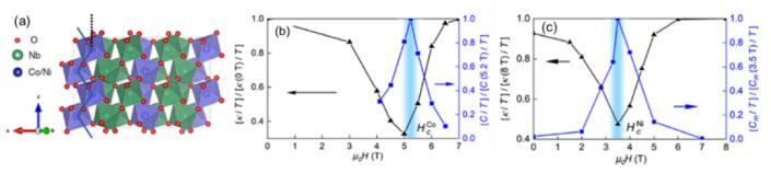 复旦团队发表研究成果,复旦大学最新科研消息