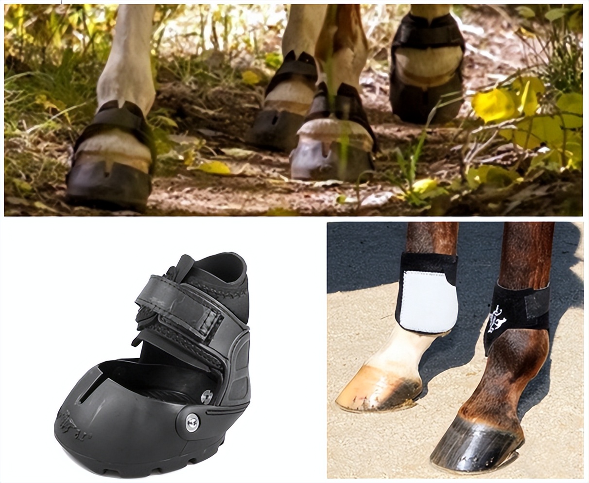 谈谈越野车,谈谈骑越野摩托感受