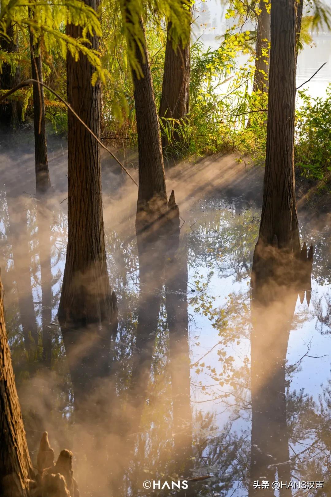 武汉重磅信息,武汉最新重磅利好