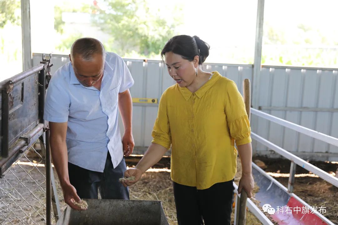 科右中旗的养羊大户王秀珍