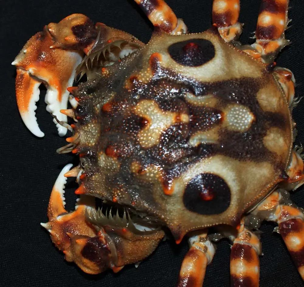 丹东附近的避暑好地方,丹东出去避暑自驾游3-4天最佳路线