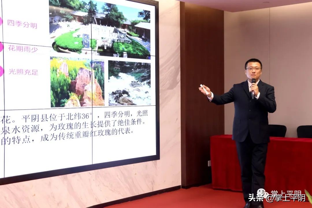 黄浦江畔，美丽有约！“东方玫瑰美丽世界”2022平阴玫瑰产业东方美谷招商推介暨战略合作签约活动隆重举行