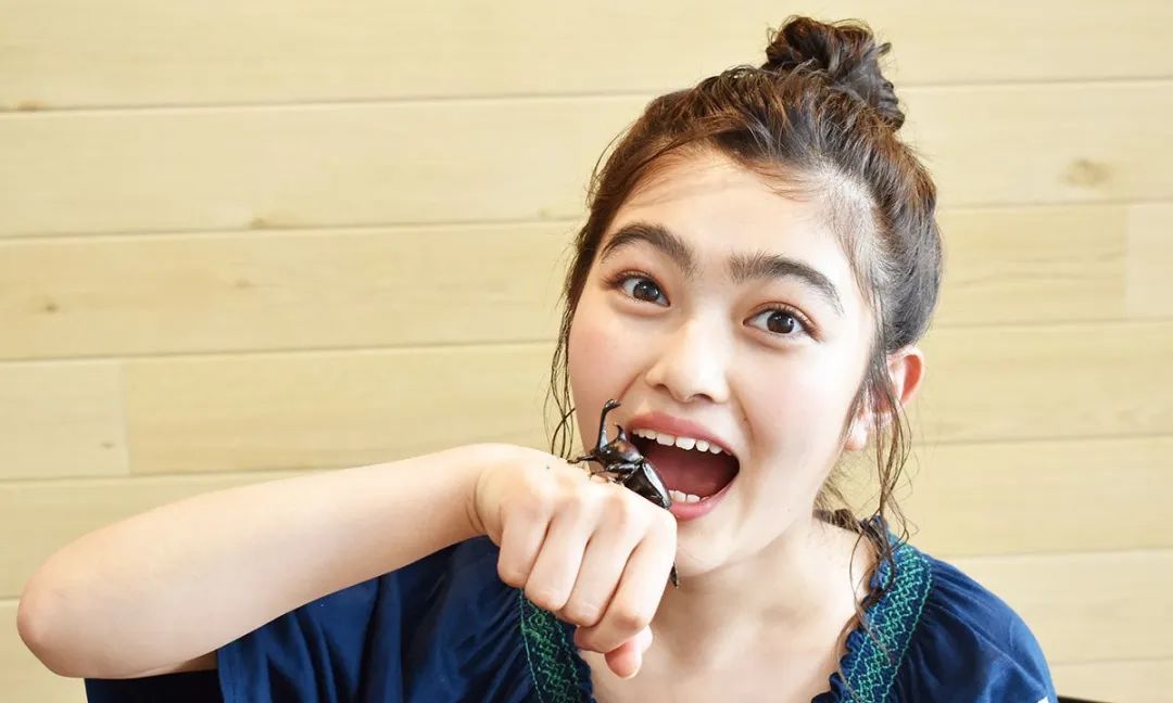 独角仙昆虫喜欢吃什么,鹿角虫厉害还是独角仙厉害