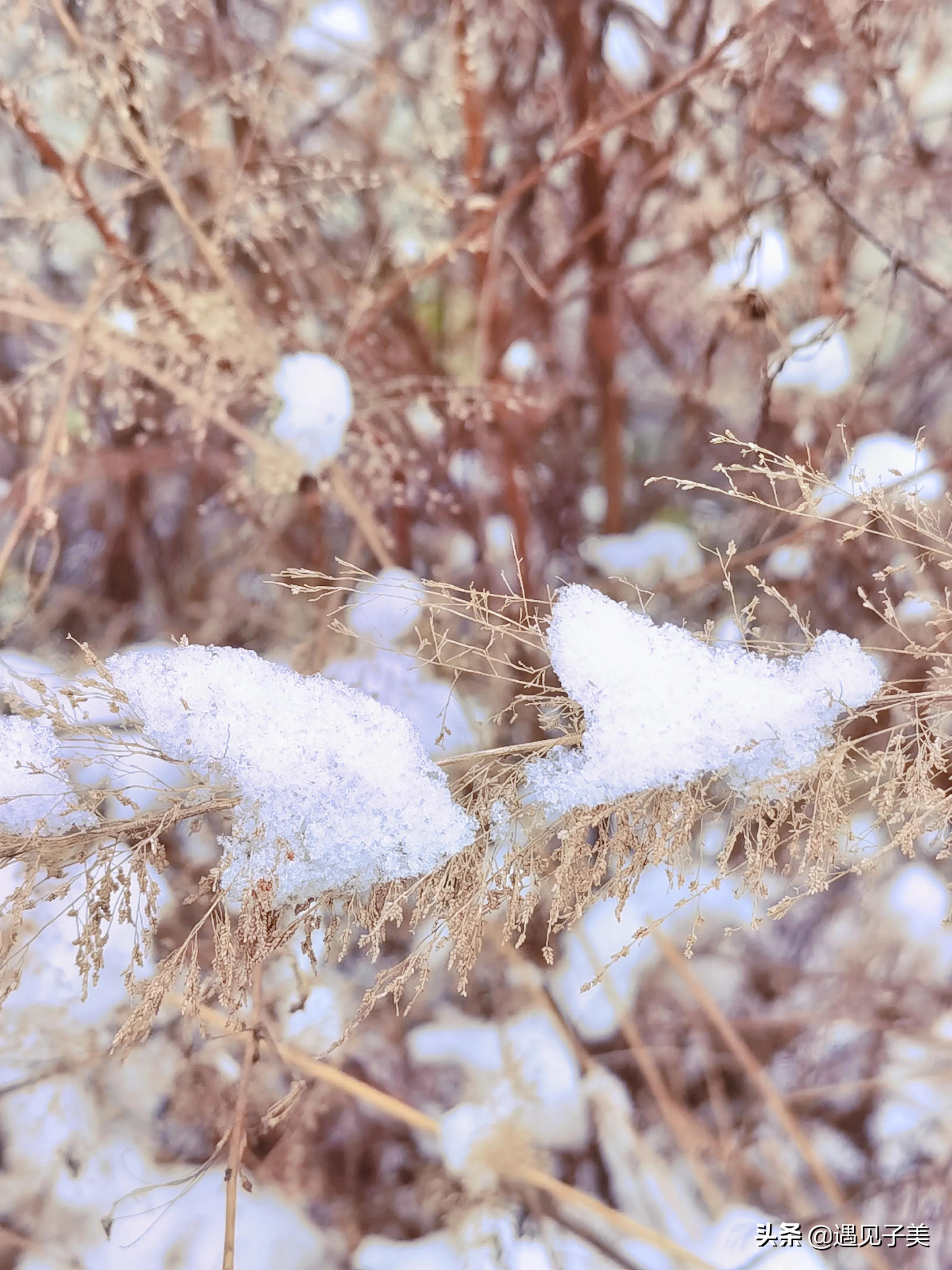 散文：旧岁将末，敬颂冬绥，凡是过往，皆为序章