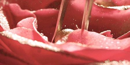 跨境电商进口化妆品中文标签,五洲跨境进口电商