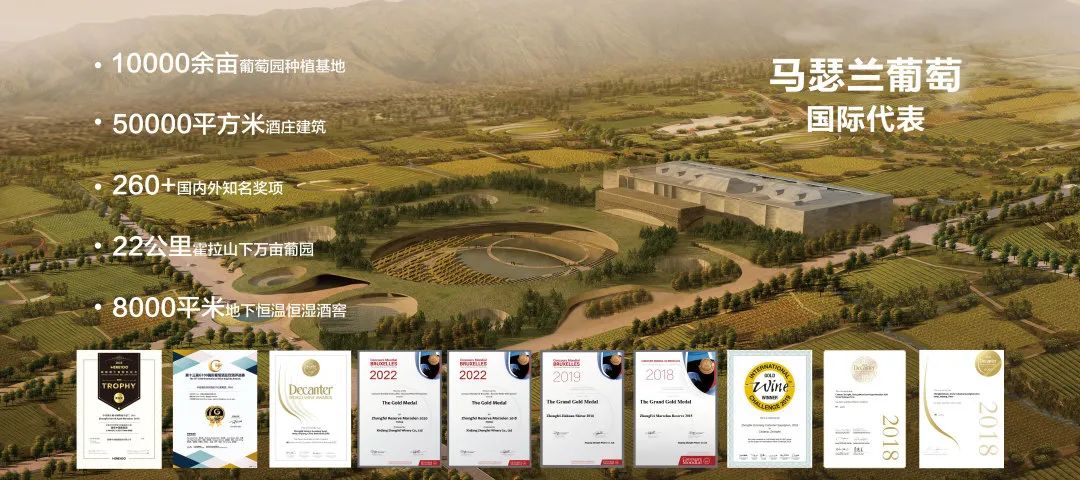 中菲酒庄白兰地,马瑟兰酒庄排名