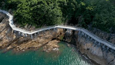 风雨无阻现场版直播,风雨无阻直播现场