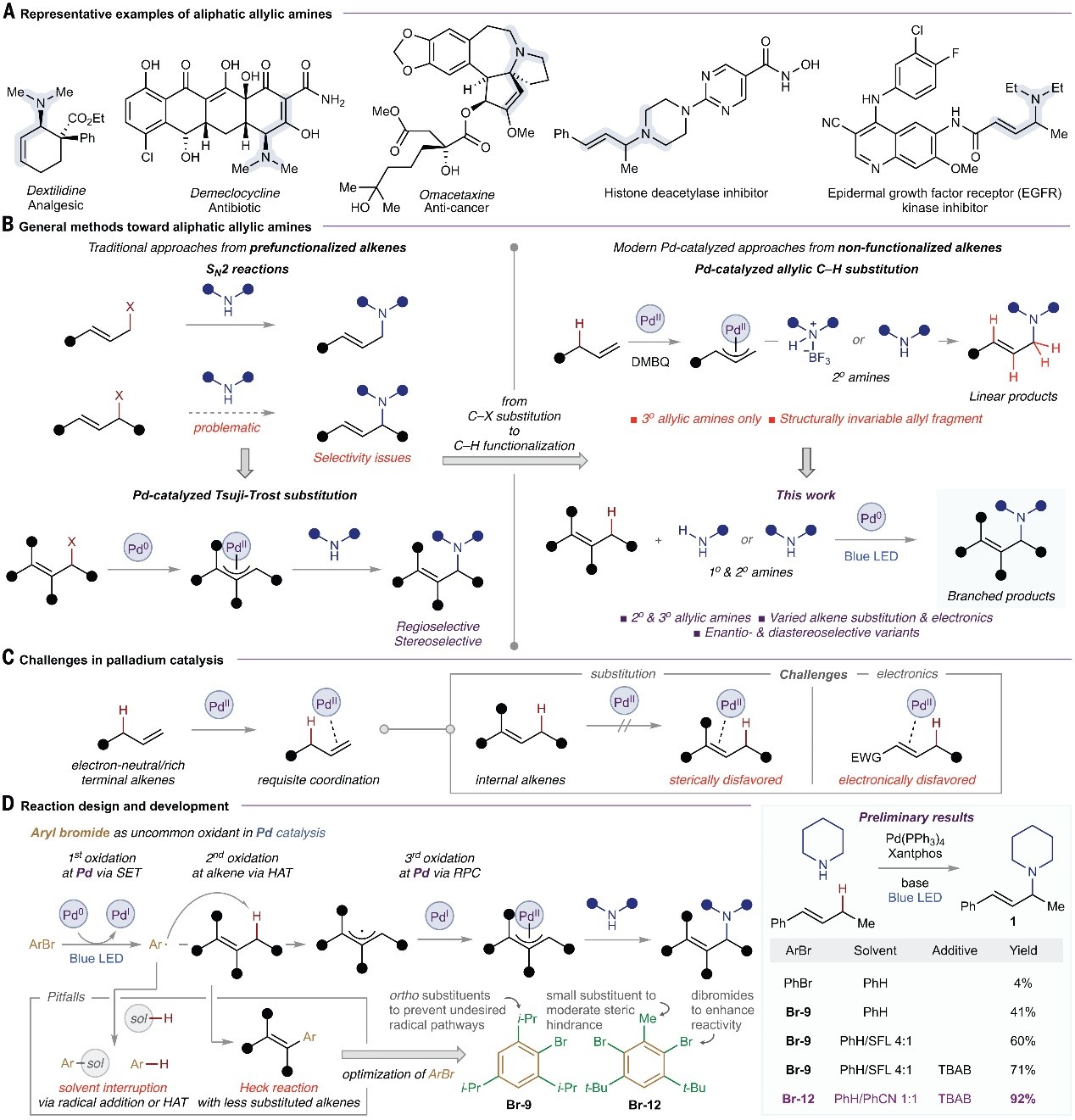 Science：烯丙基C-H键胺化新思路
