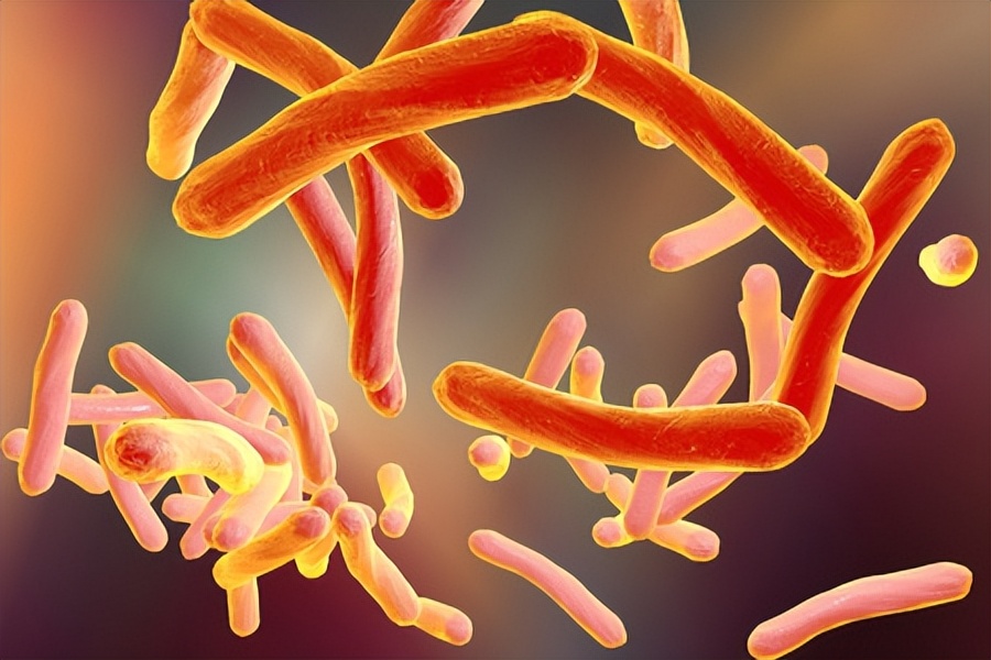 学校结核病的危害,学校有肺结核学生危险吗