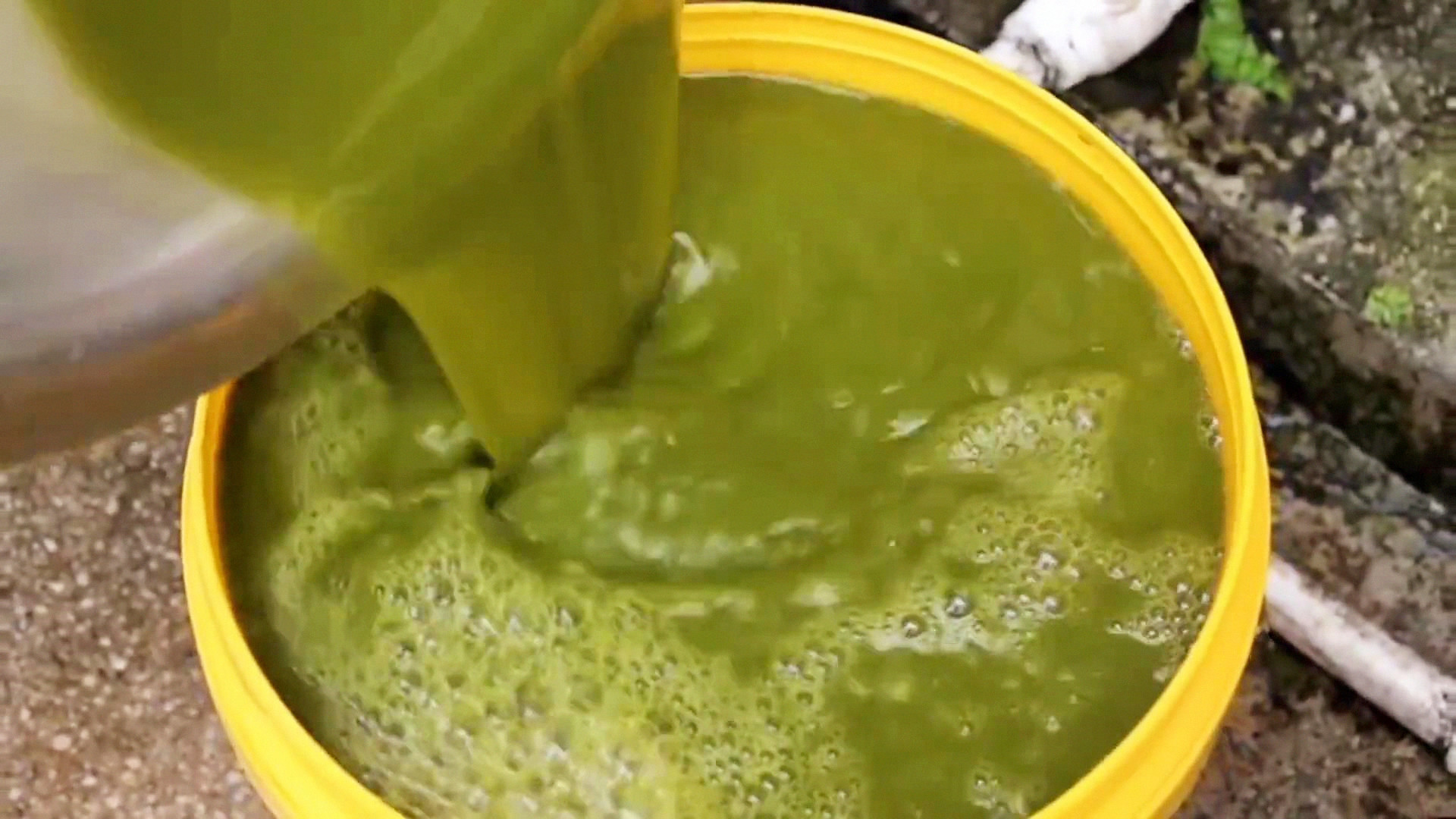 贵州黔东南牛瘪是什么,黔东南牛瘪介绍