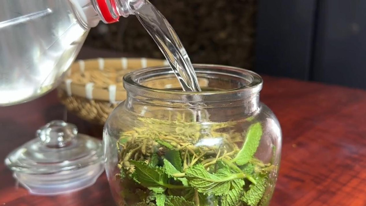 教你一招消灭家里所有的蚊子,对付蚊子的30个妙招