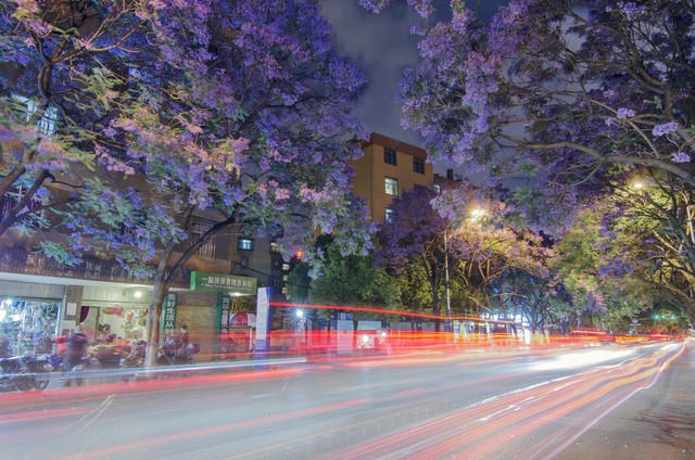 摄影如何掌握色彩搭配知识,摄影调色怎么让绿色变橙色