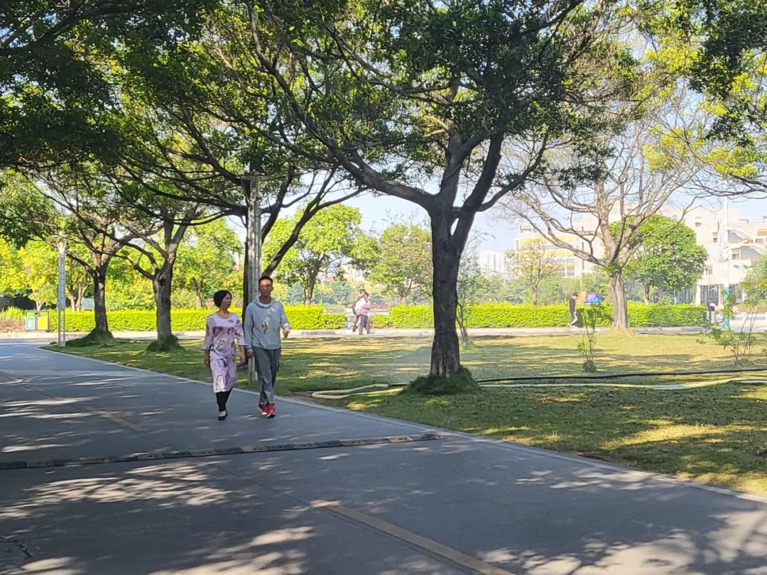 中越加强合作交流会河内召开,红河州和越南的关系