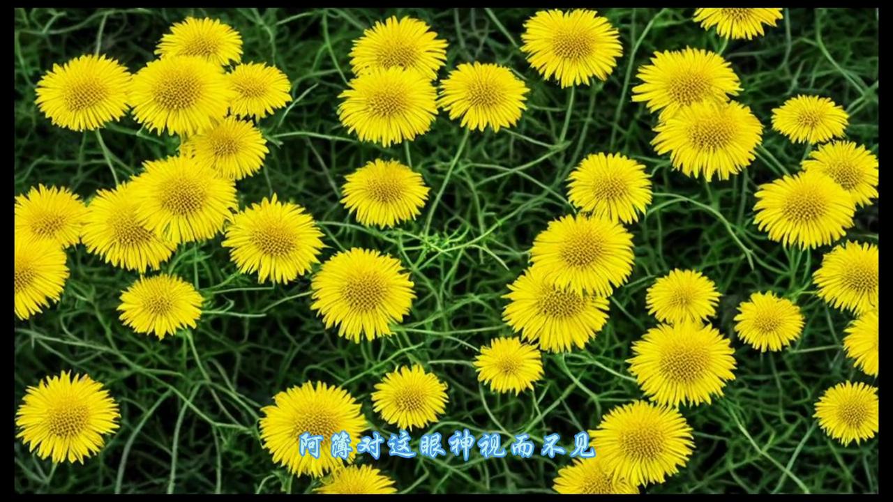 受伤严重,受伤严重的球员