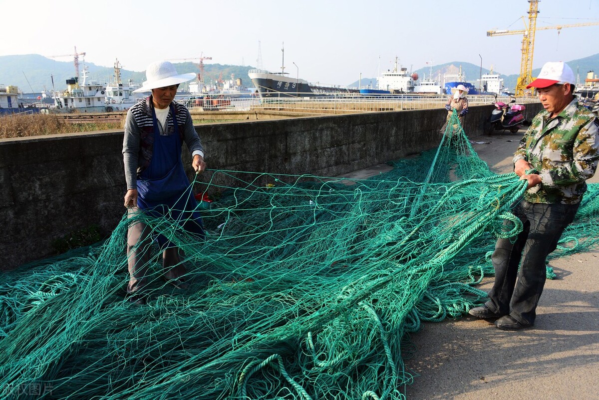 带鱼为什么无法人工养殖,捕捞的带鱼为什么都不活