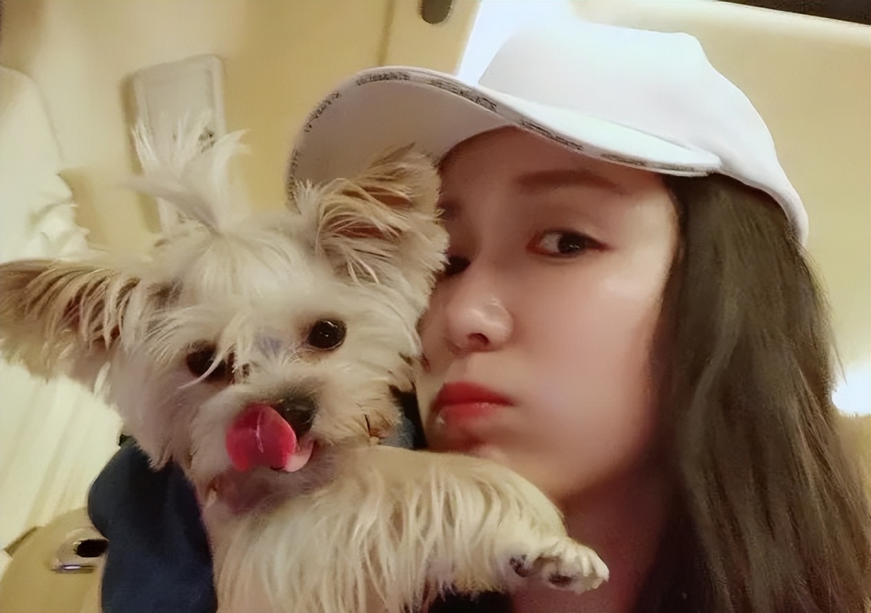 娄艺潇陈赫参加最佳损友,娄艺潇陈赫同台演唱会