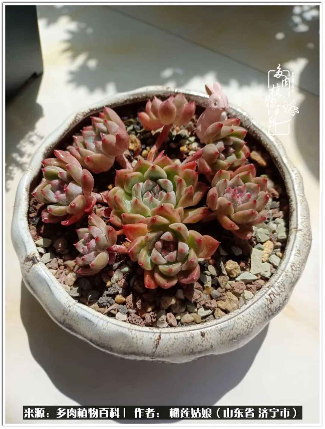 繁花似锦觅安宁淡如流水度一生,繁花似锦觅安宁淡云流水度人生