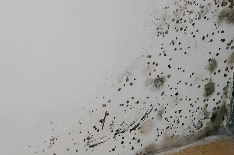 地下室防潮最佳方法,地下室防潮最好的方法