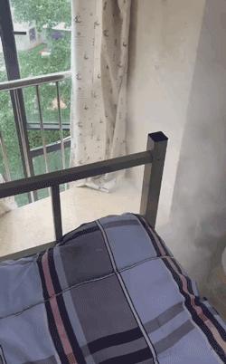 劝人不要谈恋爱的幽默句子,不谈恋爱的正能量语录