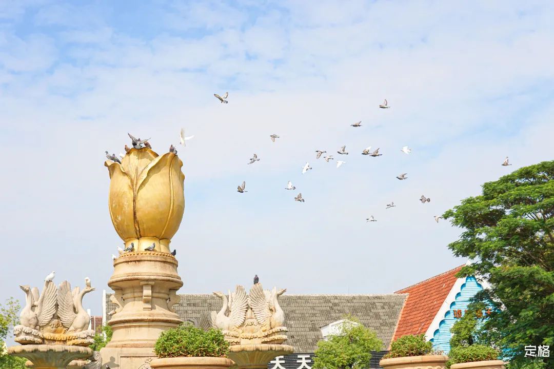 深圳小众胜地有哪些好玩的,深圳的特色风景
