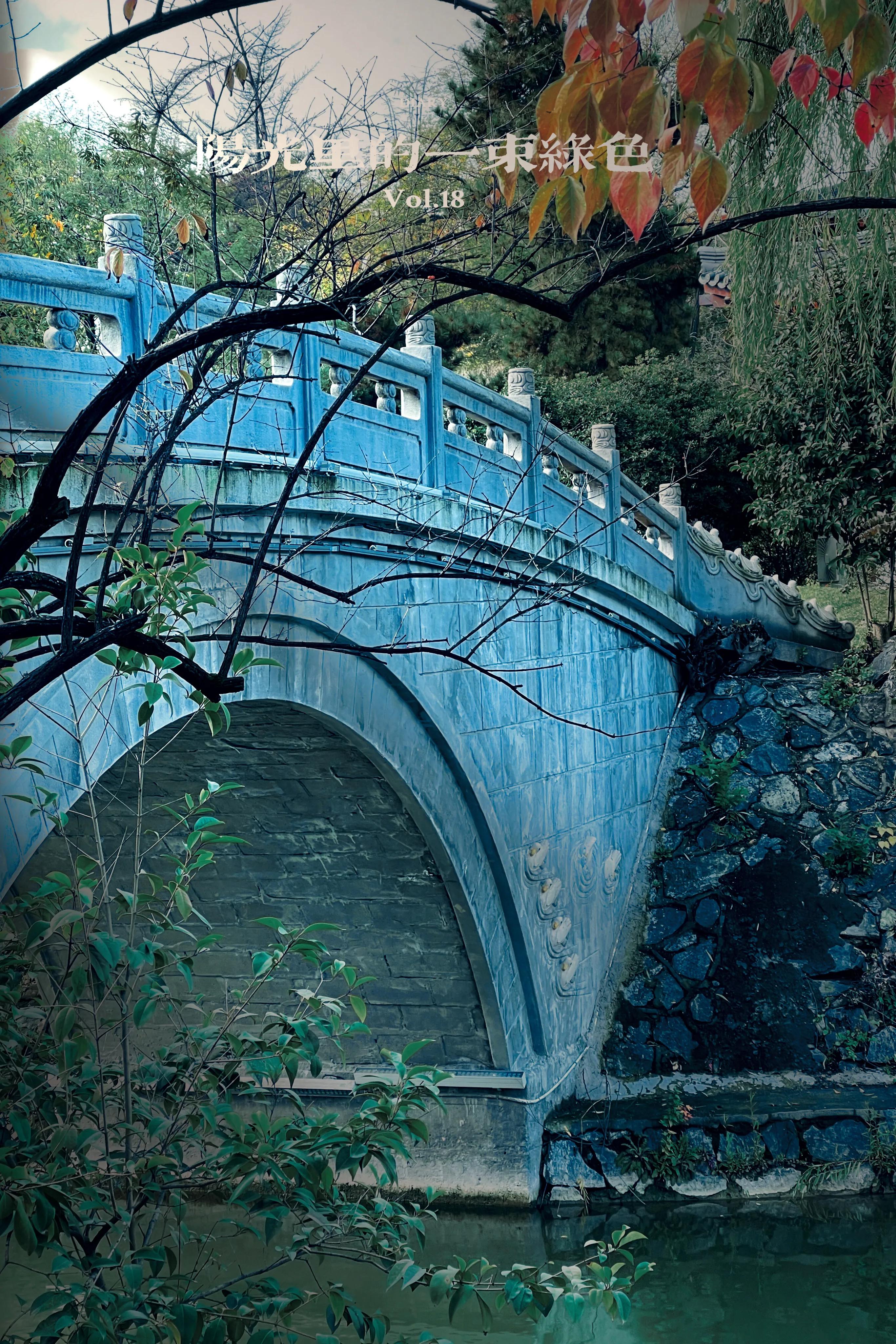 兴庆公园长乐之声合唱团直播现场,兴庆公园大合唱