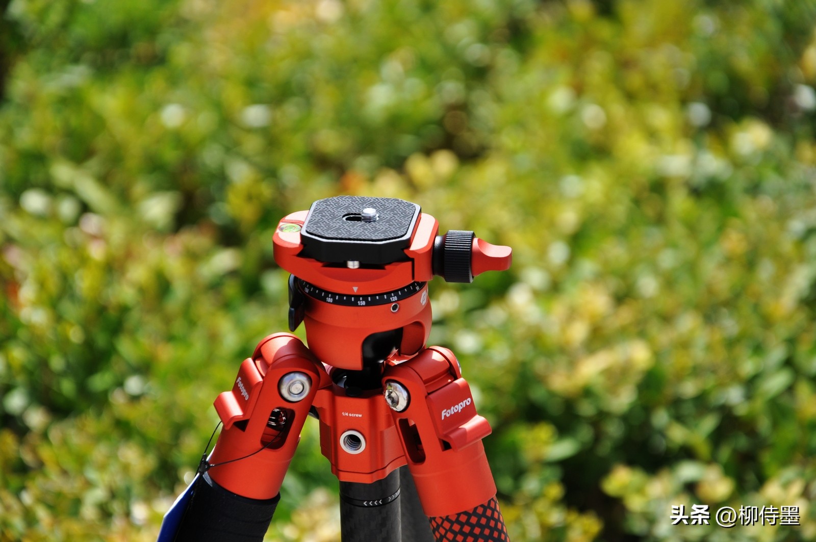 瀵屽浘瀹濋琛屼竴鍙穠ideomax鐏拌壊,鎵嬫満鐩告満閮借兘鐢ㄧ殑闀滃ご