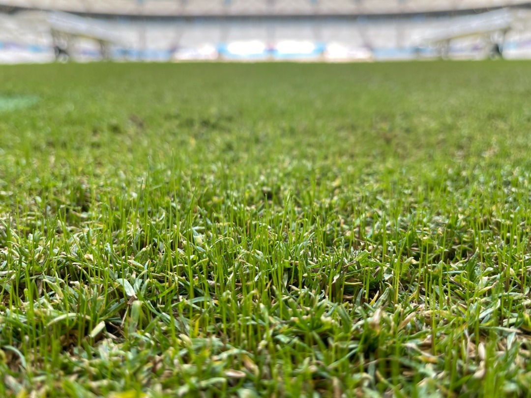 灌溉沙漠工程,太阳能灌溉系统灌溉10000亩地