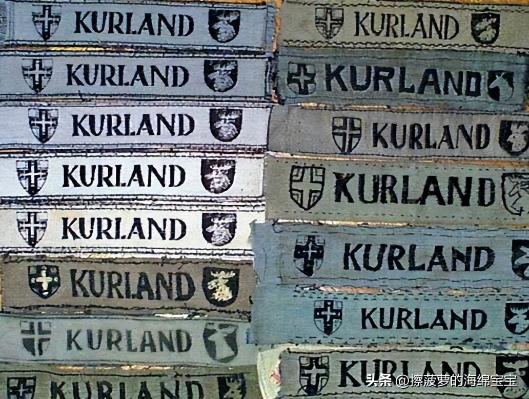 霍尔姆盾章二战德国,二战德国军奖章