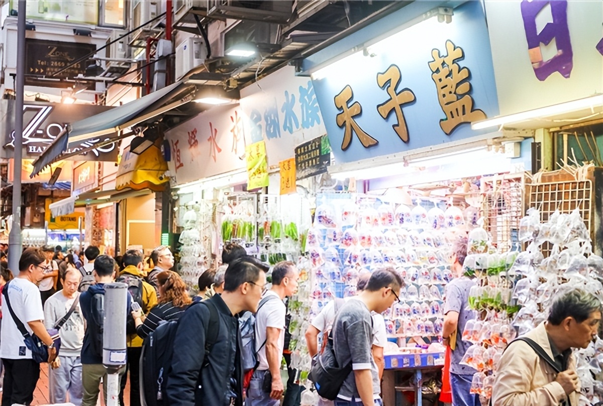 领取香港游客礼包,香港游客大礼包