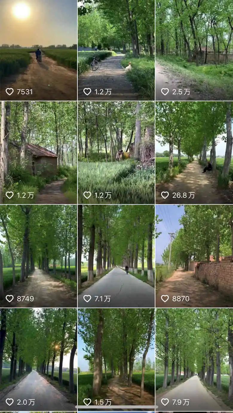 2020年的56个瞬间,我见过一场海啸