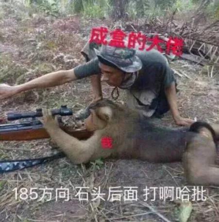 朋友圈文案可爱沙雕,适合朋友的沙雕文案