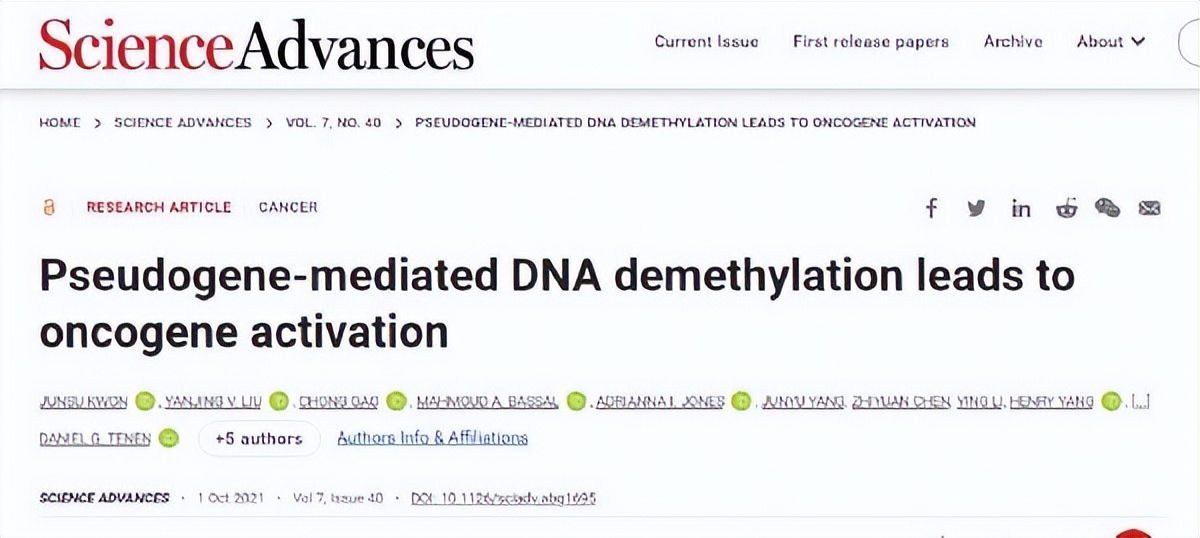 肝炎到肝癌的发展过程,肝癌早期最新研究报告