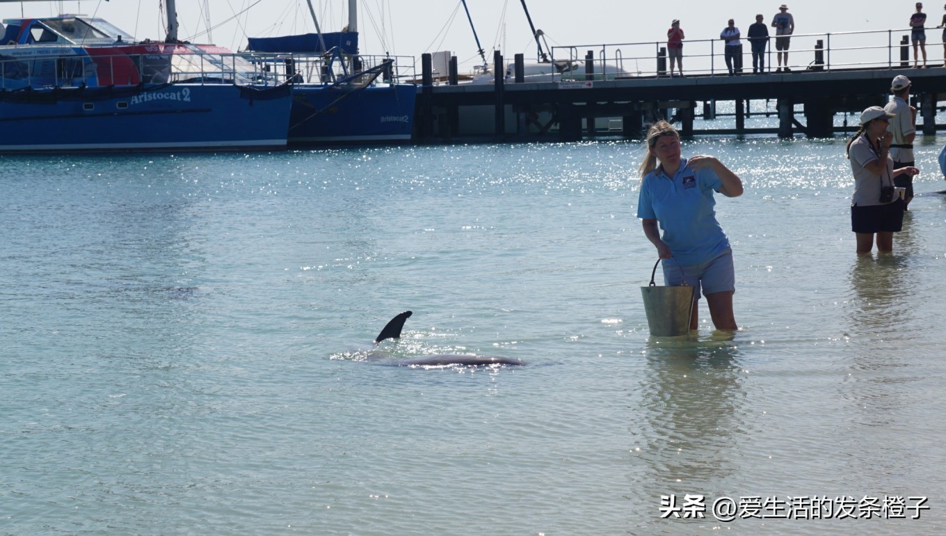 一路向北全程1980公里,西澳自驾游最佳路线图