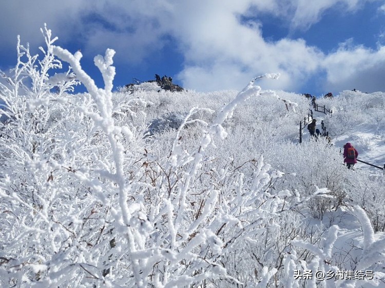 韩国晨静花园,韩国晨静树木园设计方案
