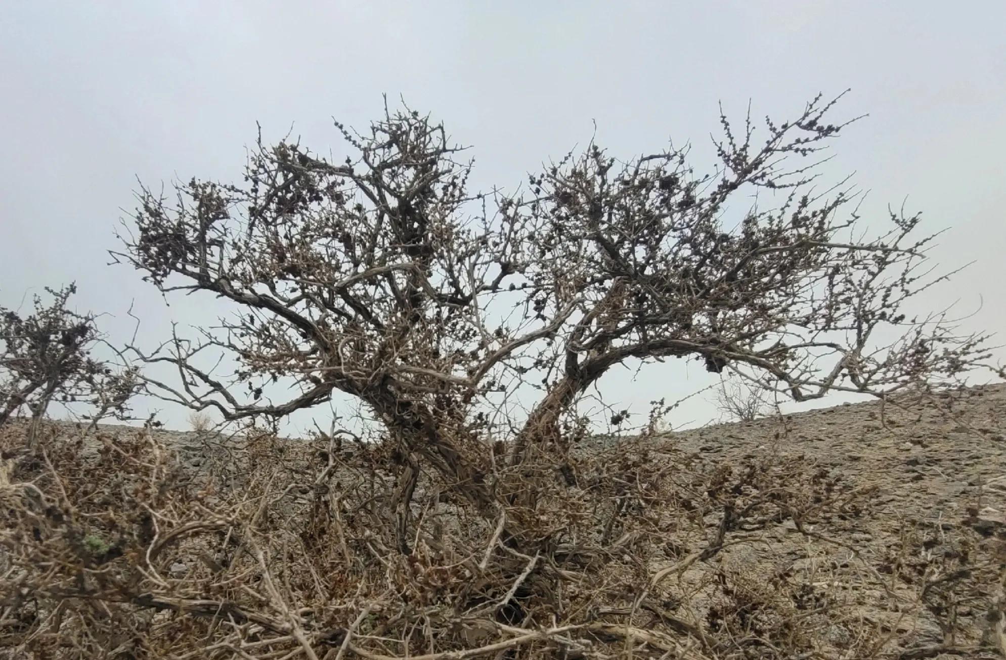 山外的世界作文,洞外的世界