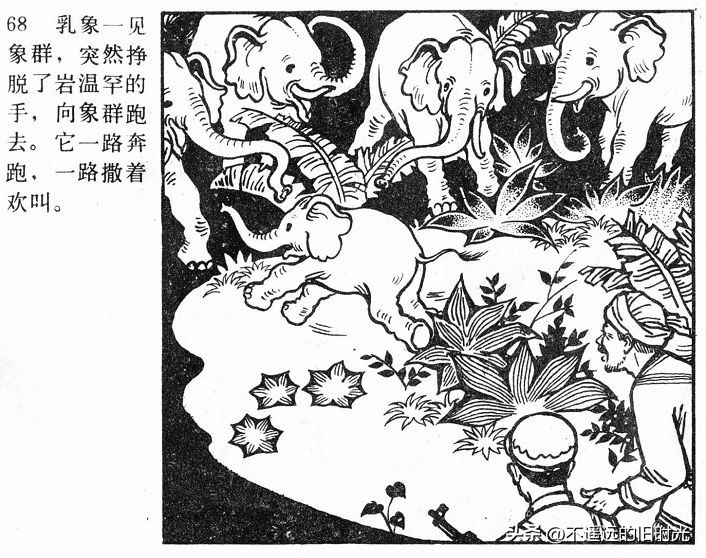 大象搬家,大象搬家河北