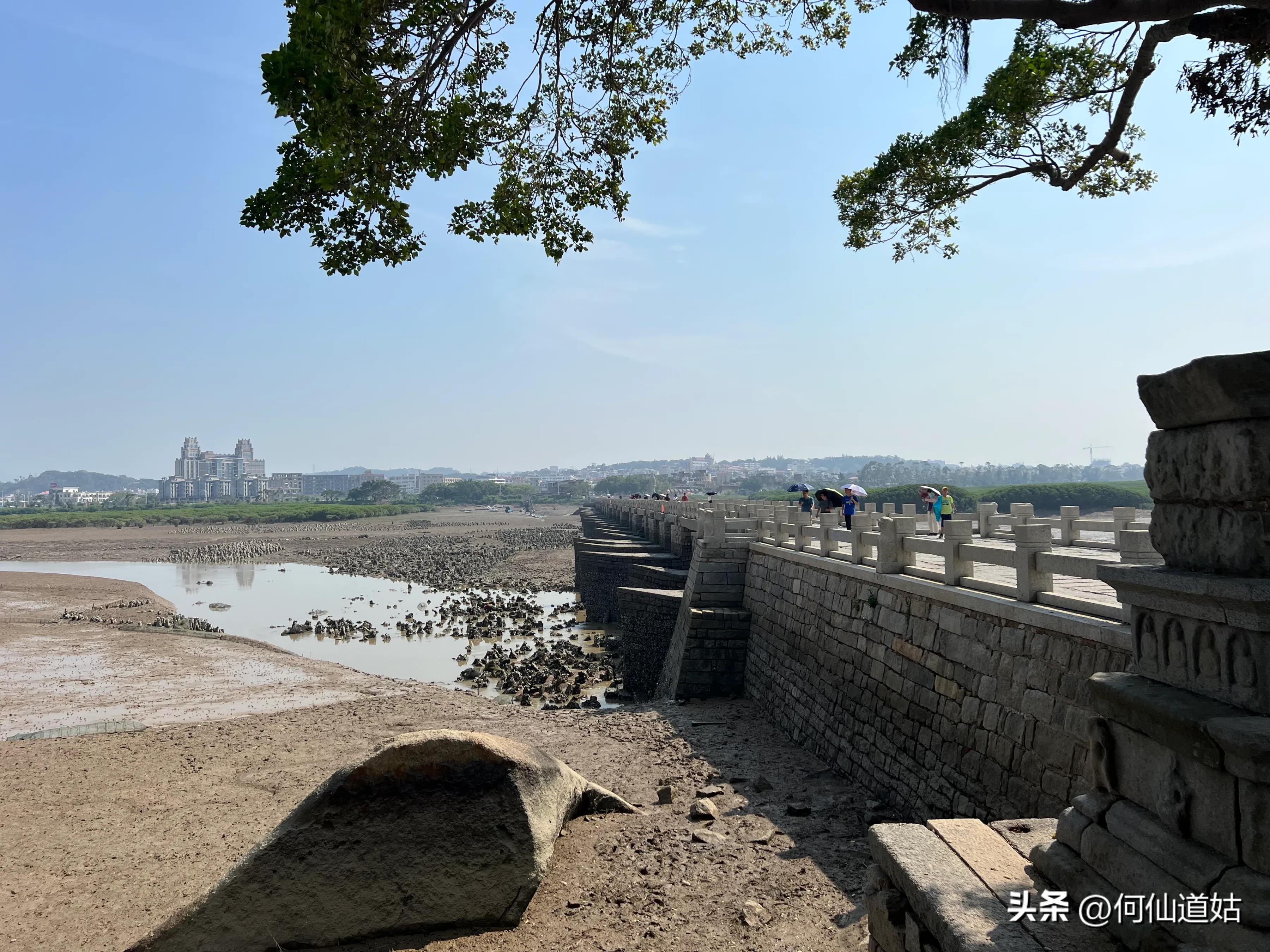 洛阳桥传说真实故事,洛阳桥泉州