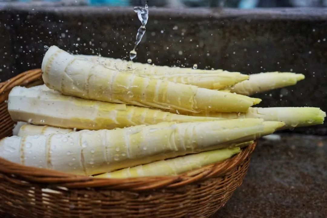 亚运美食食堂,2022亚运会菜肴