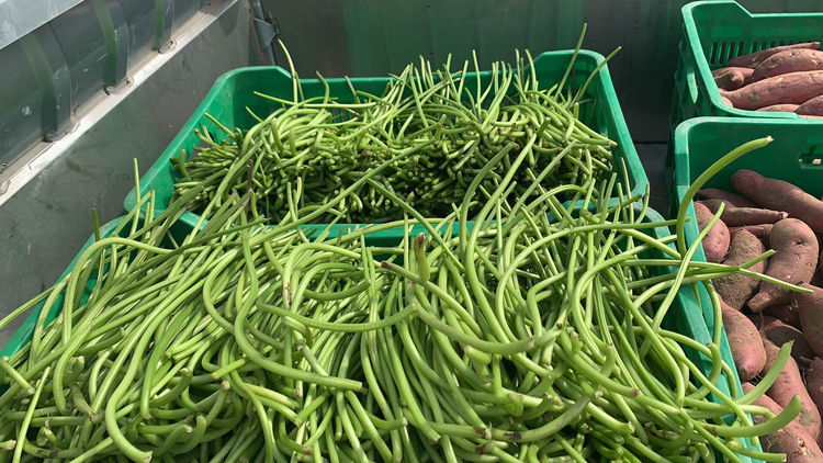 大叔把喂猪的红薯梗卖韩国1亩挣600，烘干加工1年竟卖300万，凭啥