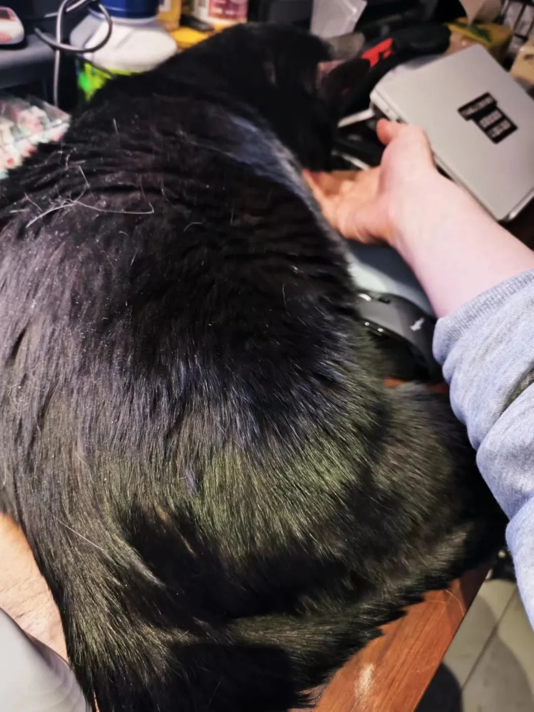 真没想到，这么能洗！？