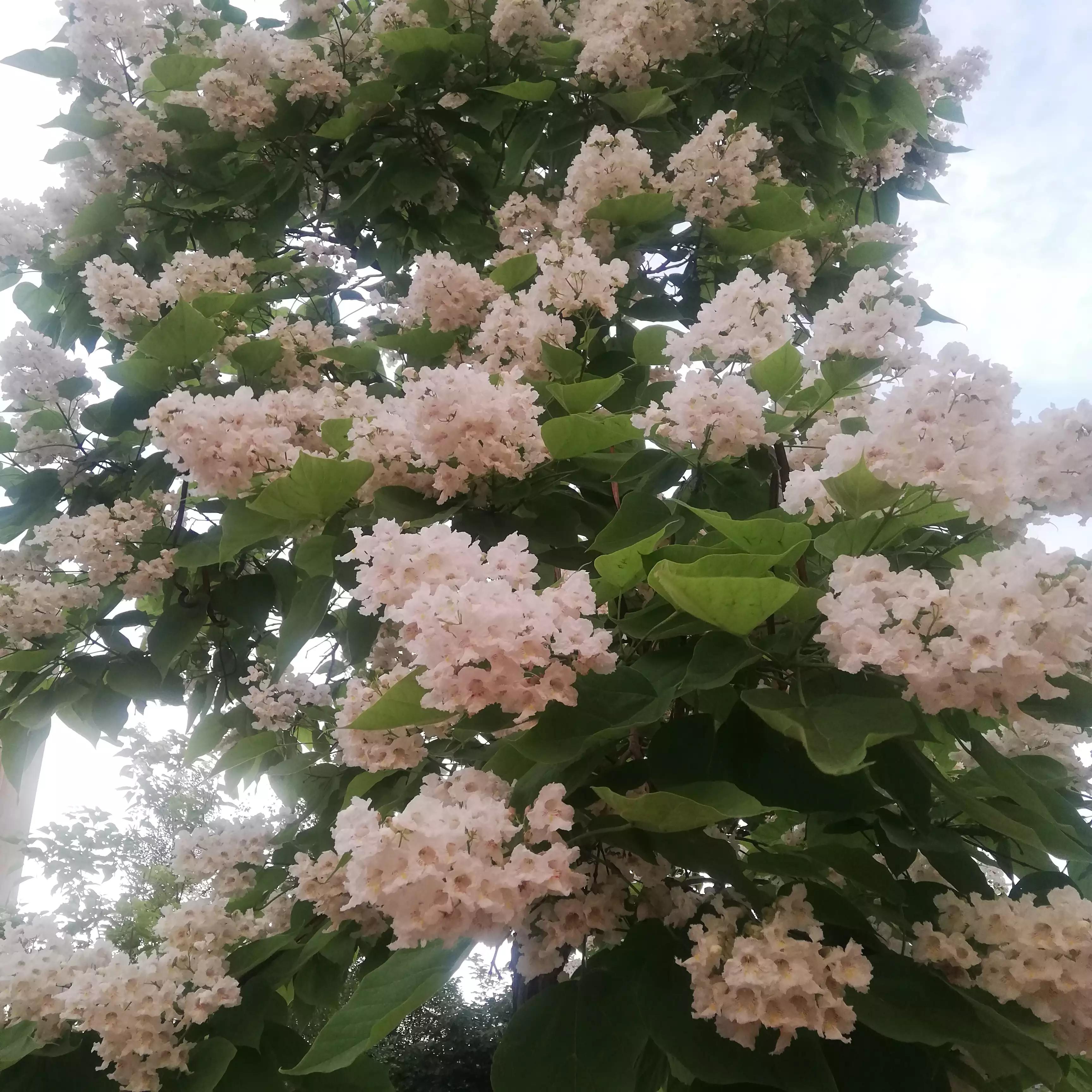 俄乌战场战役复盘,俄乌之战十点分析