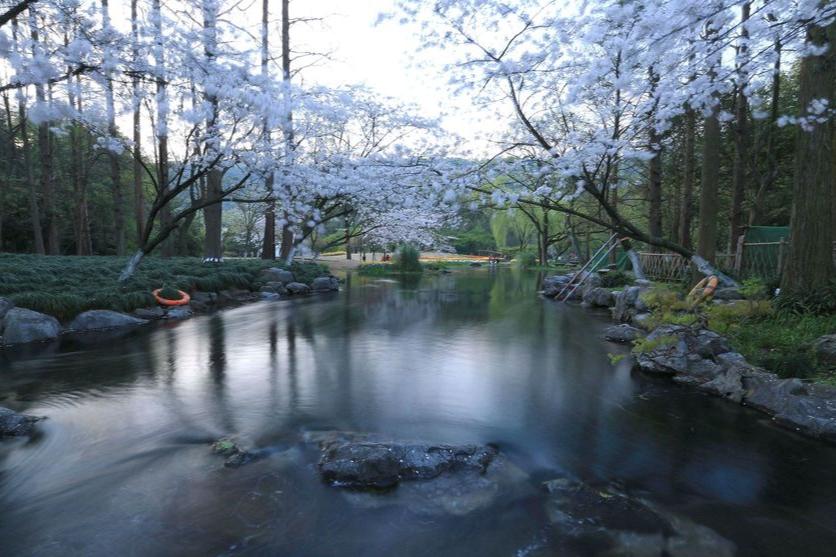 漫步西湖诗句杨万里,杨万里七绝楷书书法临摹