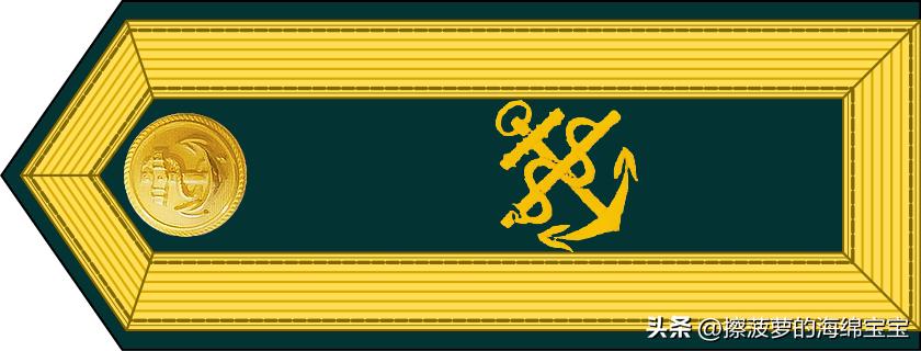 二战德国国防军医疗兵军衔标志