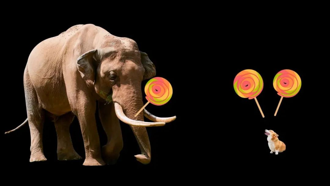 卡塔尔世界杯有多壕,2022卡塔尔世界杯已入围的国家