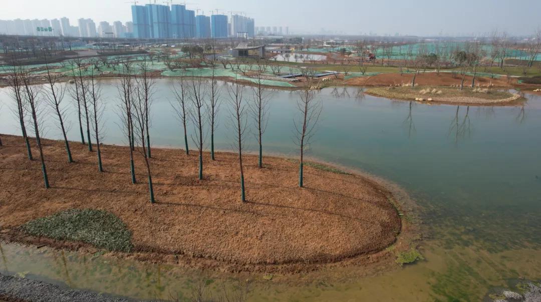 32万平方米,江北超大公园震撼来袭