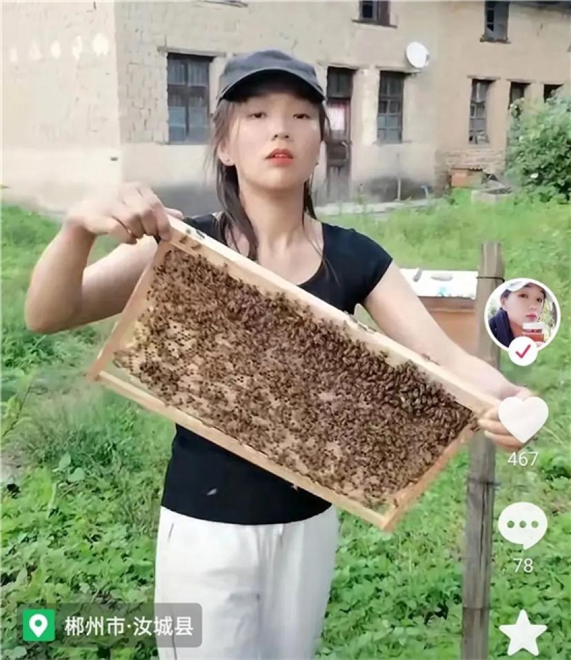 90后养蜂女现状,90后深山养蜂