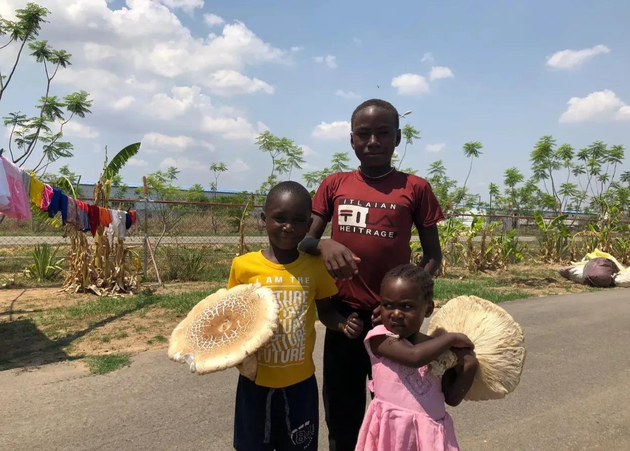 猪猪一家在小哥儿的帮助下过着幸福生活,很想知道戴维他们怎样了