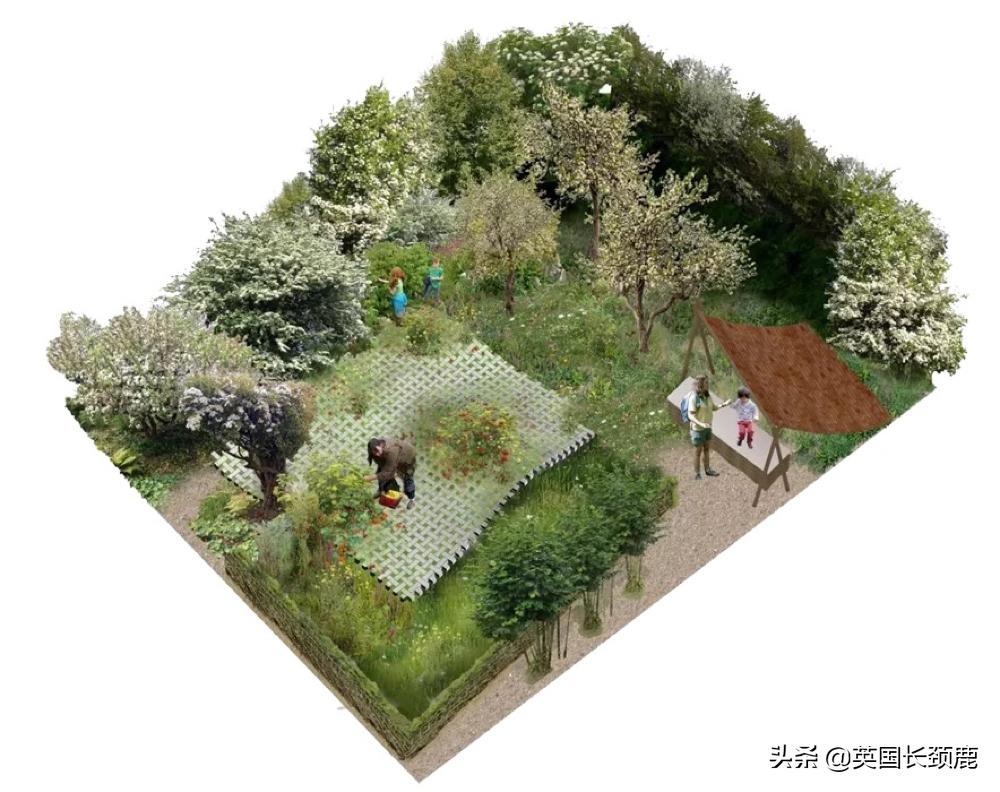 2020年切尔西花展抢先看,2023年切尔西花展