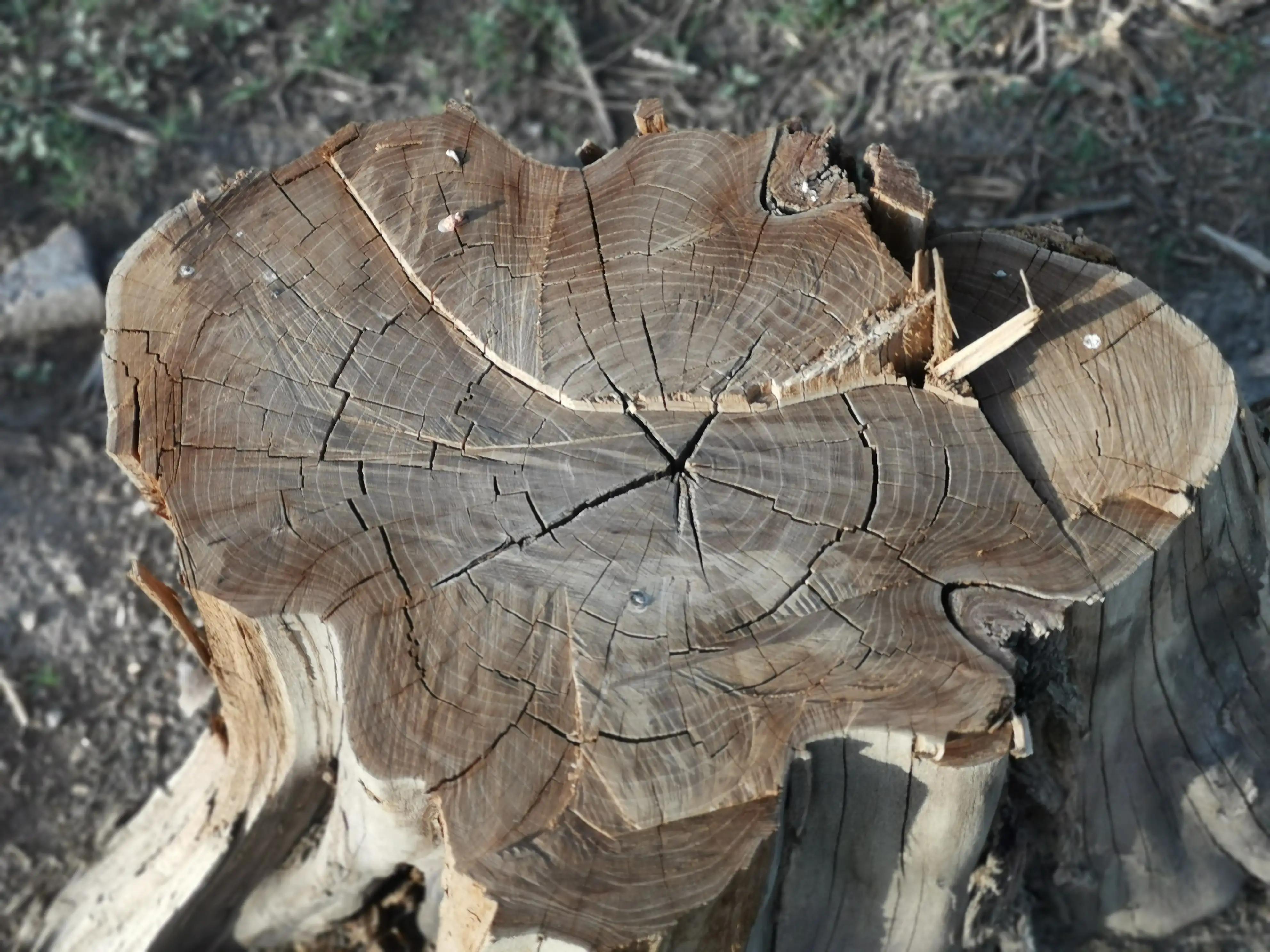 黄健翔诗意解说,黄健翔经典解说音频